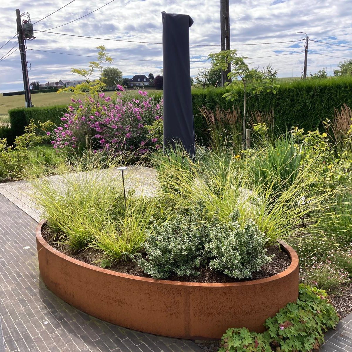Welke planten in bloembak volle zon?