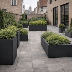 Collection image for: Bloembakken Gent