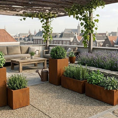 Plantenbakken voor kruiden