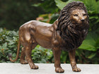 Bronzen beeld Leeuw 26x12x42cm