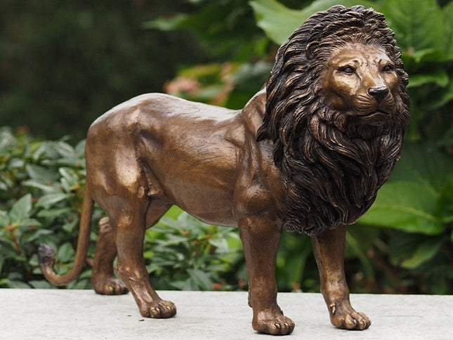 Bronzen beeld Leeuw 26x12x42cm