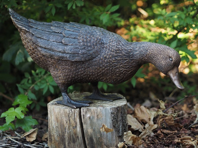 Bronzen beeld Eend 30x22x57cm