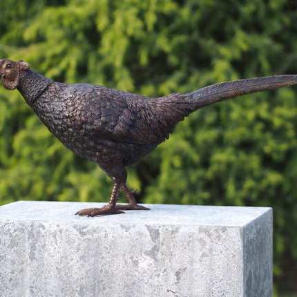 Bronzen beeld Fazant 34x18x75cm