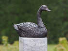 Bronzen beeld Zwaan 16x9x22cm