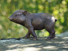 Bronzen beeld Biggetje 12x16x18cm