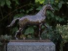 Bronzen beeld Paard hot patina 37x14x44cm