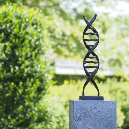 Bronzen beeld DNA sculptuur 53x13x13cm