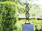 Bronzen beeld DNA sculptuur 53x13x13cm