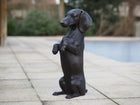 Bronzen beeld Zittende Tekkel 52x16x24cm