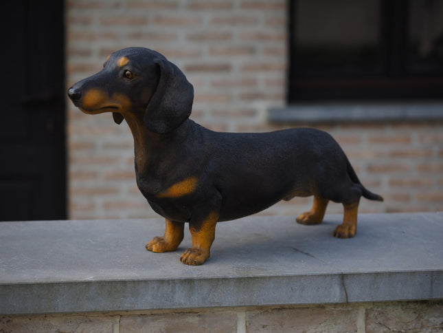 Bronzen beeld Tekkel Gekleurd 33x17x69cm