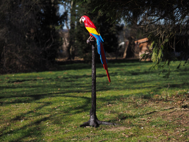 Bronzen beeld Papagaai op boom (hoofd omhoog) 143x45x60cm