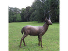 Bronzen beeld Hert mannelijk 135x35x102cm 50kg