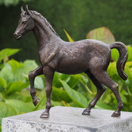 Bronzen beeld Paard 27x6x29cm