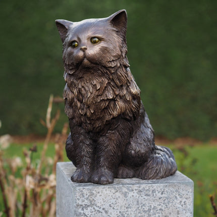 Bronzen beeld Perzische kat 29x21x36cm