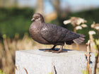 Bronzen beeld Duif 17x10x27cm