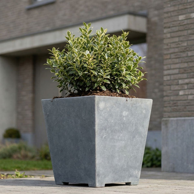 Conische arduinen plantenbak met bodem 40x27x42 cm