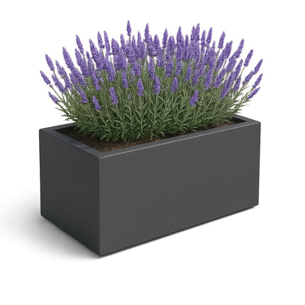 Polyester plantenbak 100x50x50 cm - Zwartgrijs (RAL 7021)