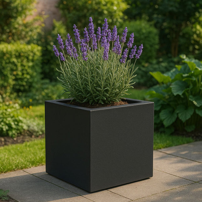 Polyester plantenbak 60x60x60 cm - Gitzwart (RAL 9005)