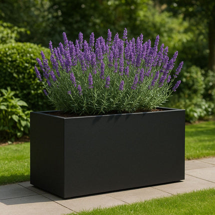 Polyester plantenbak 100x50x50 cm - Gitzwart (RAL 9005)