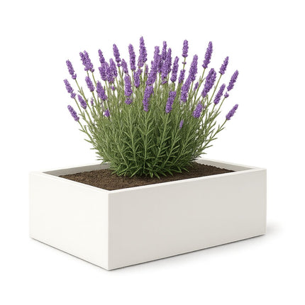 Polyester plantenbak 180x88x32 cm - Zuiver Wit (RAL 9010)