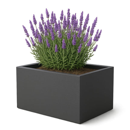 Polyester plantenbak 60x40x40 cm - Zwartgrijs