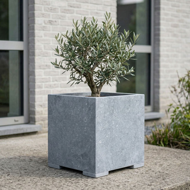Vierkante arduinen plantenbak met bodem 30x30x32 cm - Modern
