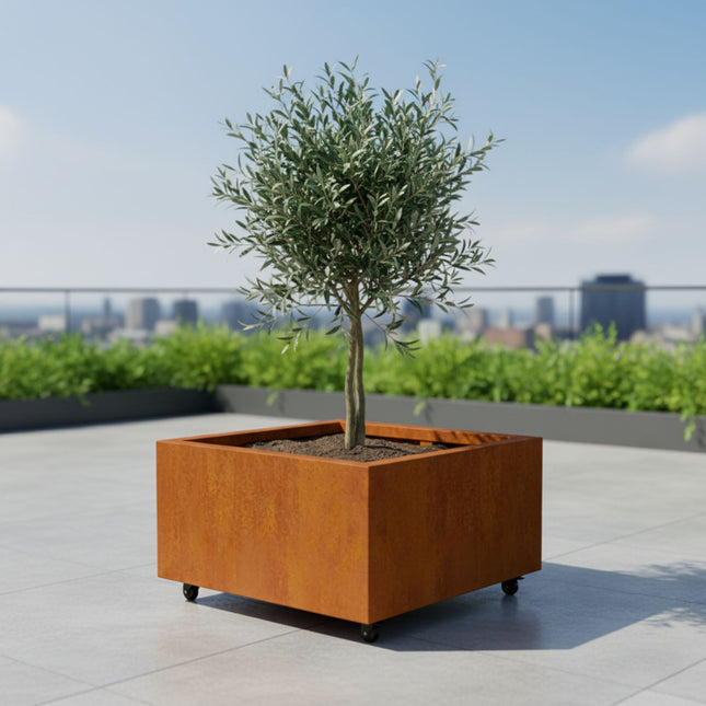 Vierkante cortenstalen plantenbak met wielen 80x80x40 cm