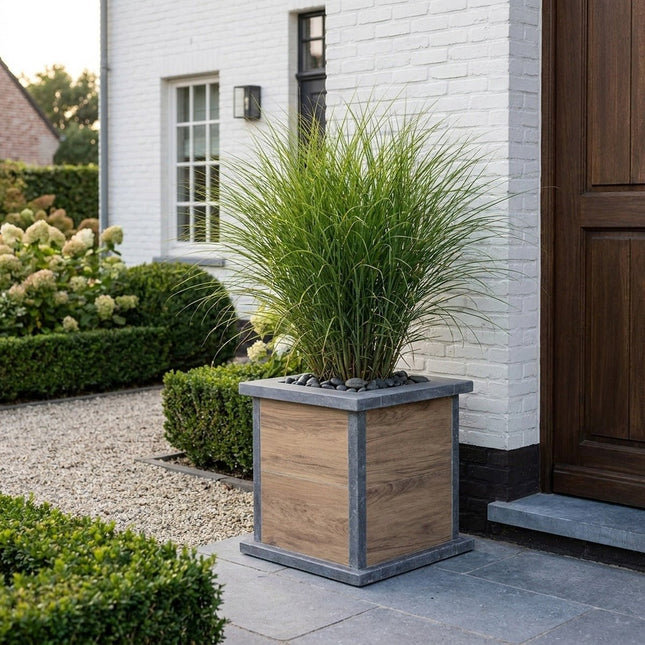 Vierkante arduinen plantenbak Classic Woodlook 56x56x56 cm - Doika - Plantenbak - VASP - 5420024207080 - Square classic woodlook 56x56x56 (2 cm)