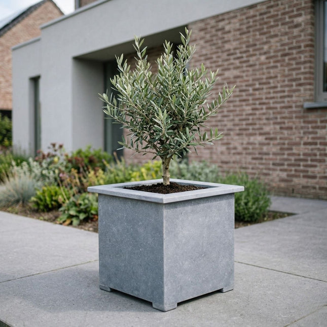 Vierkante arduinen plantenbak met bodem 40x40x44 cm - Doika - Plantenbak - Doika - 5420024201064 - Square classic 40x40x44 (2 cm)
