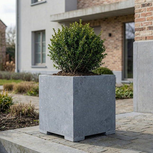 Vierkante arduinen plantenbak met bodem 60x60x62 cm - Modern - Doika - Plantenbak - Doika - 5420024201040 - Square modern  60x60x62 (2cm)