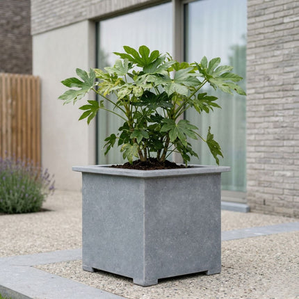 Vierkante arduinen plantenbak met bodem 80x80x84 cm - Doika - Plantenbak - Doika - 5420024201125 - Square classic 80x80x84 (3 cm)