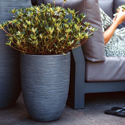 Capi Europe Vase elegant low Rib NL Ø46 x H58 cm - dark gray