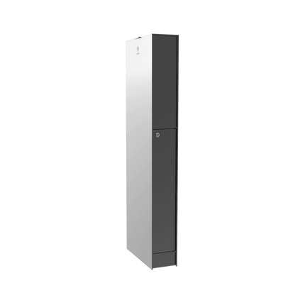 eSafe Fenix Top Small Pakketbrievenbus Grijs aluminiumkleurig RAL 9007 - Doika BV - Pakketbrievenbus - eSafe - -
